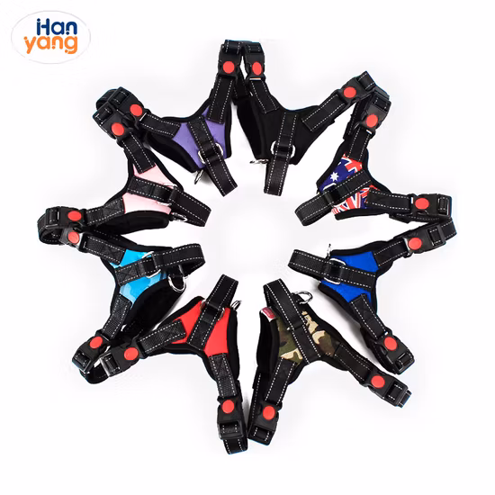 한양 무료 샘플 제조업체 도매 표범 새 개 하네스 2023 맞춤형 조절 가능한 애완 동물 하네스 및 가죽 끈 세트 개 하네스